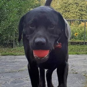 Meet your Posher, Jason